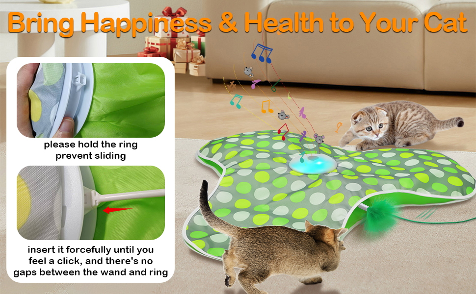 self play cat toy home alone