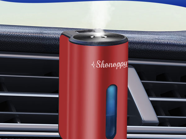 car diffuser-3