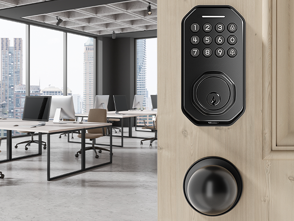 keyless entry door lock