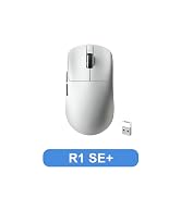 R1SE
