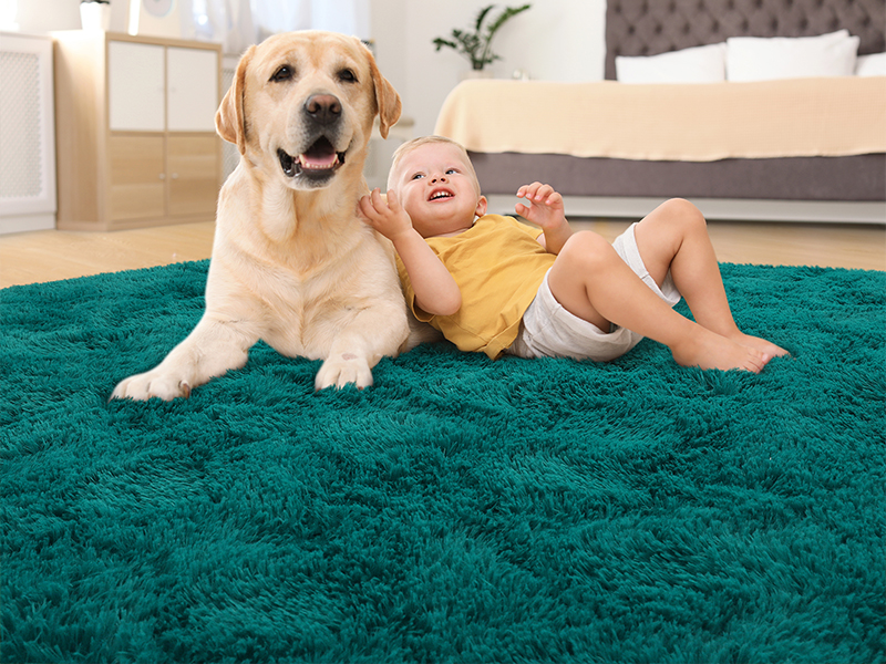 teal rug