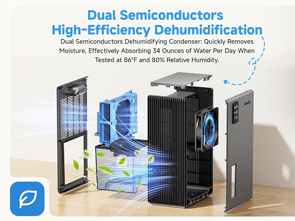 dehumidifiers for home
