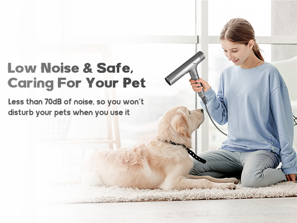 Safe for Pet