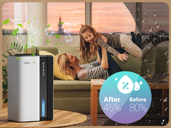 dehumidifier for basement
