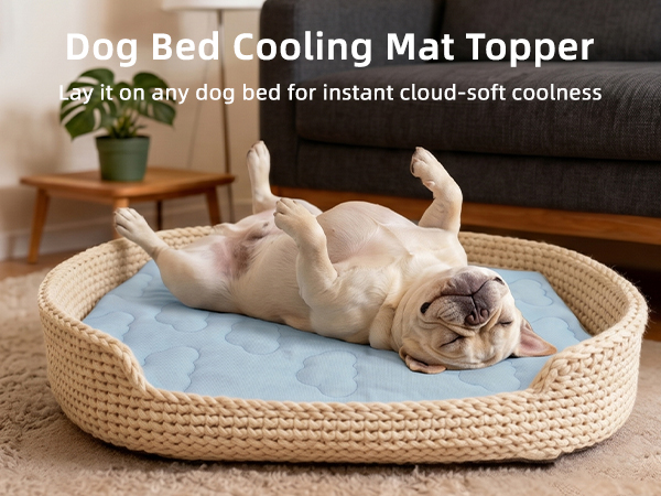 dog cooling mat