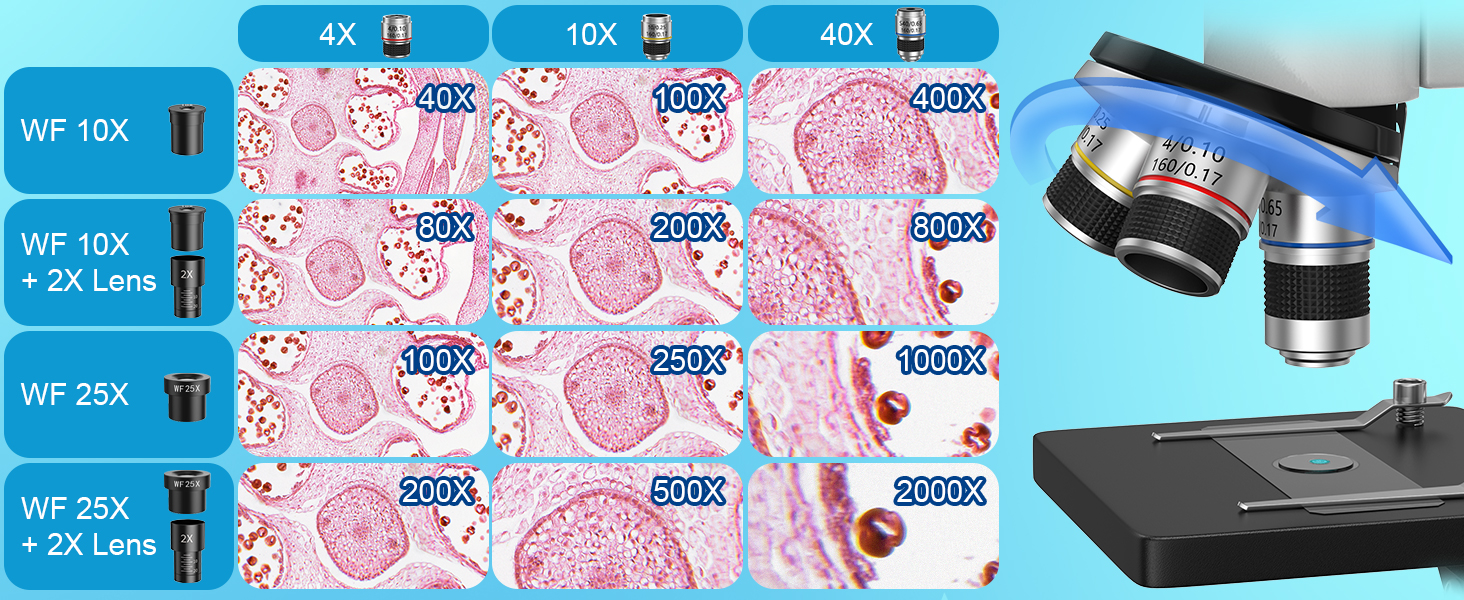 High magnificaiton microscope