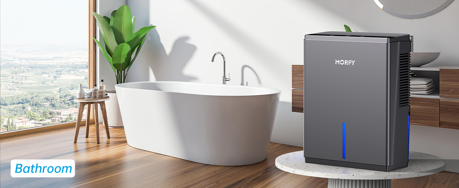 dehumidifier for bathroom