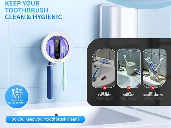 Toothbrush holder