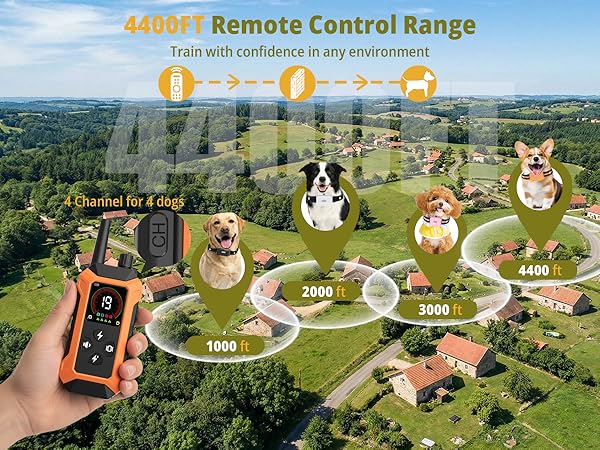 multi dog training collars for large dogs with remote