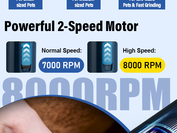 2 speed