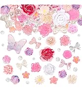 BEEFLIYNG 1 PACK Random Mixed 3D Resin ABS Colorful Rose Flower Butterfly Bow Charm Pearl Bead Ac...
