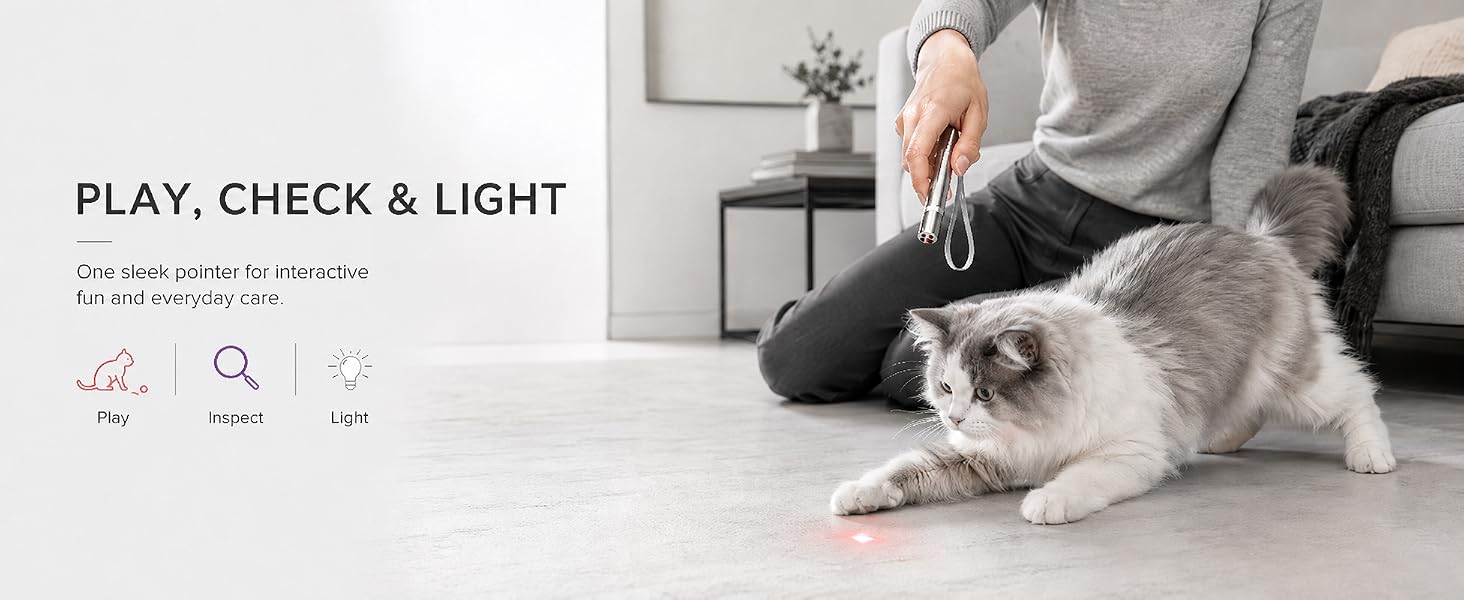 PLAY. CHECK & LIGHT