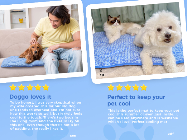High quality, dogs like it