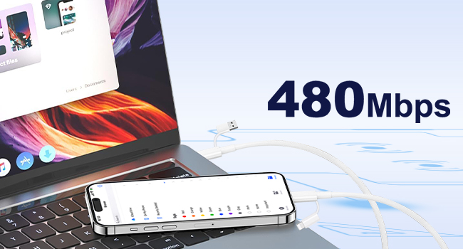 Text reads: '480Mbps'. Technical diagram showing electronic component or connectivity feature.