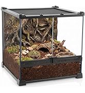 NEPTONION 12"x12"x12" Reptile Terrarium, Double-Door Glass Terrestrial Vivarium for Tropical Amph...
