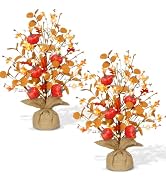 Timer & Pumpkin - Fall Decor 2 Pack 18 Inch Lighted Fall Tree Tabletop | Fall Decorations for Hom...
