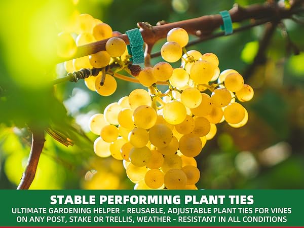 plant ties for outdoor plants garden green tape for plants tomato ties for climbing plants