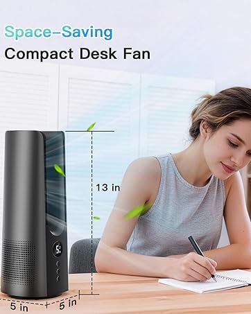 quiet fan