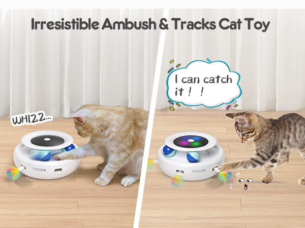 interactive cat toy