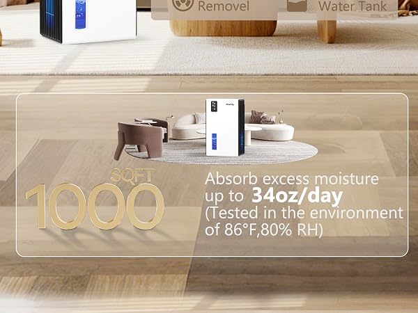 dehumidifier