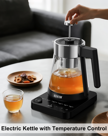 Electric Kettle with Temperature Control
