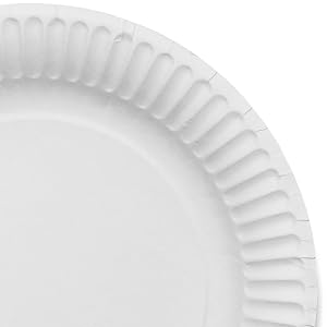 Stock Your Home 9-Inch Paper Plates Uncoated, Everyday Disposable Plates