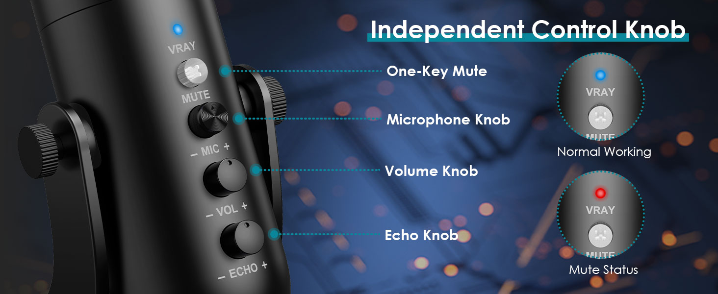home recording microphone