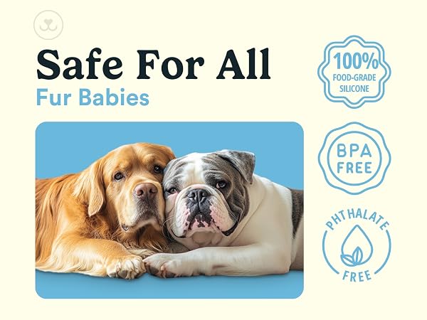 safe for all fur babies