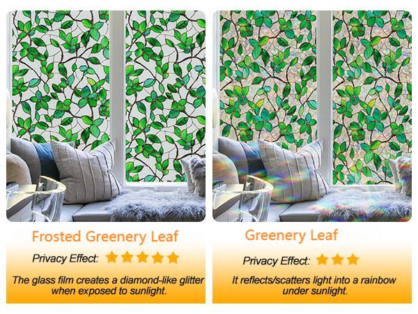 window films