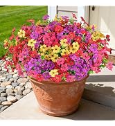 AmberFun 16 Bundles Artificial Flowers for Outdoors, Realistic Fake Silk Flowers for Outside Deco...