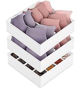 3 Pack Bra Underwear Drawer Organizer Dividers, 26 Cell Fabric Foldable Dresser Closet Organizers...