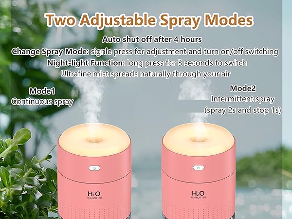 humidifier for plants