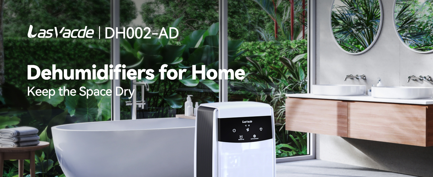 Dehumidifier