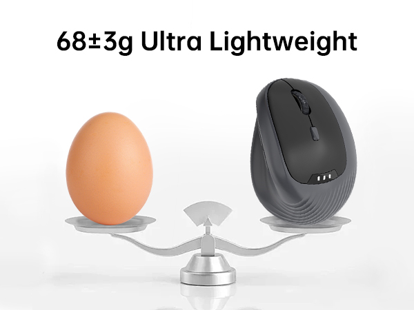 lightweigh mouse