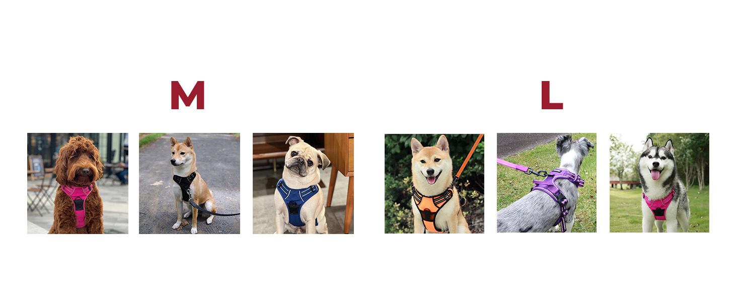 indestructible harness for dogs