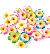 10 Pcs Multicolor Hawaii Plumeria Flower Clips Hawaiian Flower Hair Barrettes Beach Party Hair Cl...