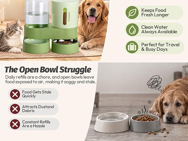 cat food and water dispenser set