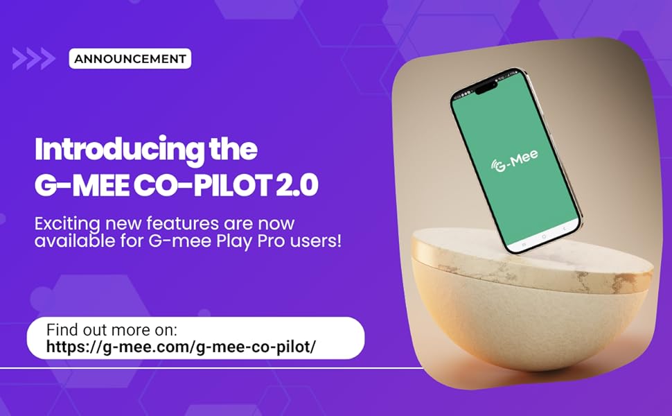 G-mee Co-pilot