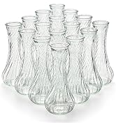 Noamus 16 Pack Glass Bud Vase, Clear Small Flower Vases in Bulk, Vintage Glass Vases for Centerpi...