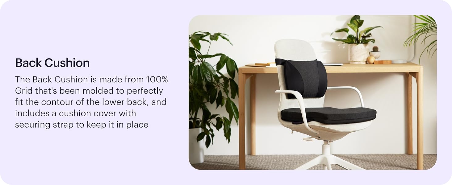 molded to perfectly fit the contour of the lower back, and includes a cover with securing strap