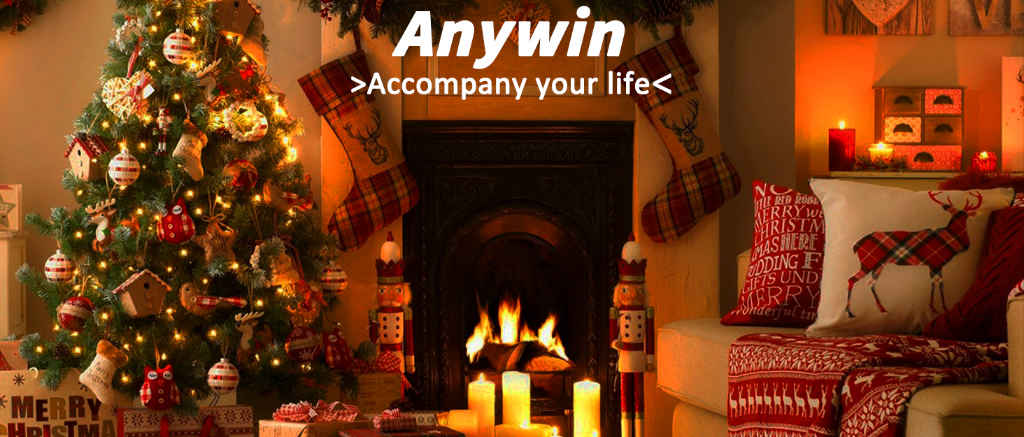 Anywin