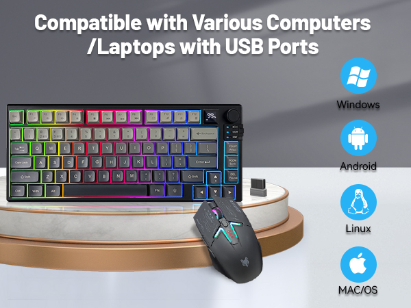 Compatible with Various Computers /Laptops with USB Ports