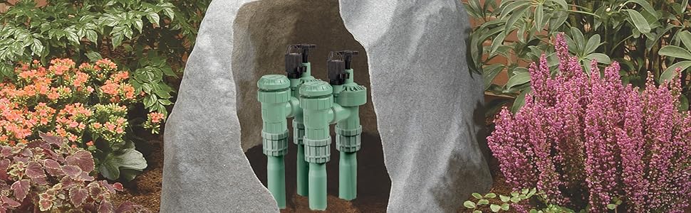 Anti-siphon valves hidden in a rock box