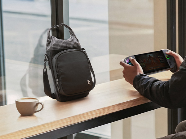 switch 2 bag