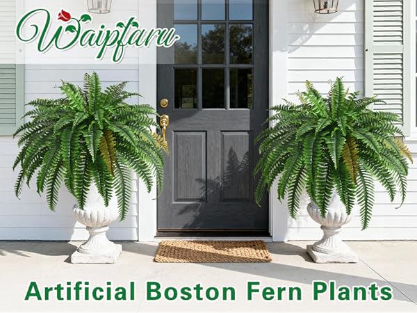fake ferns