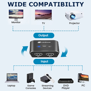 DP Switcher 9