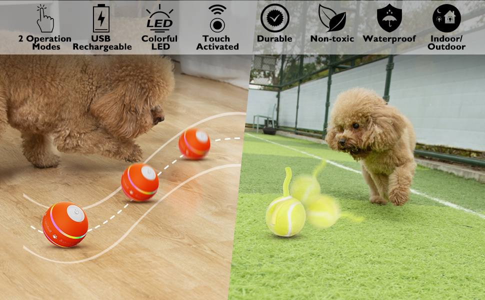 smart jumping ball dog toy