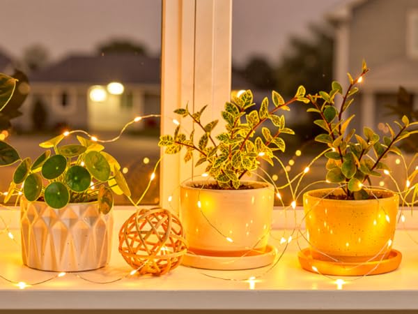 christmas lights indoor