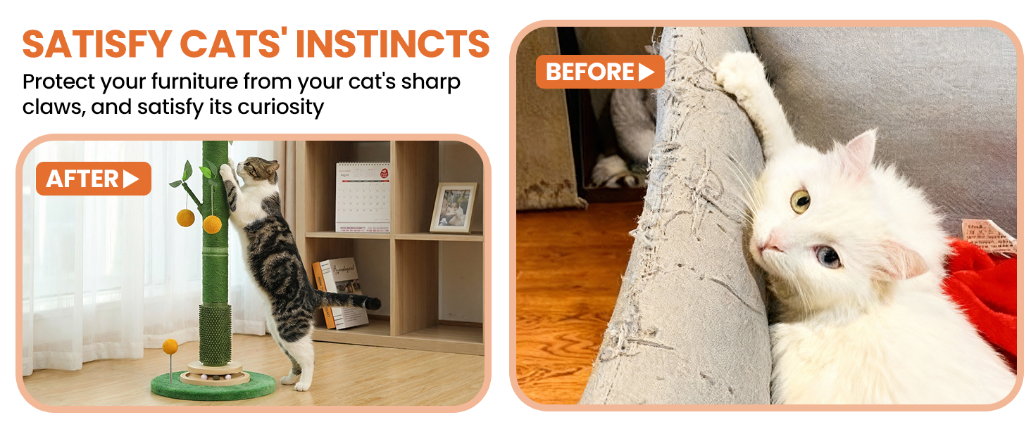 cat scratching post