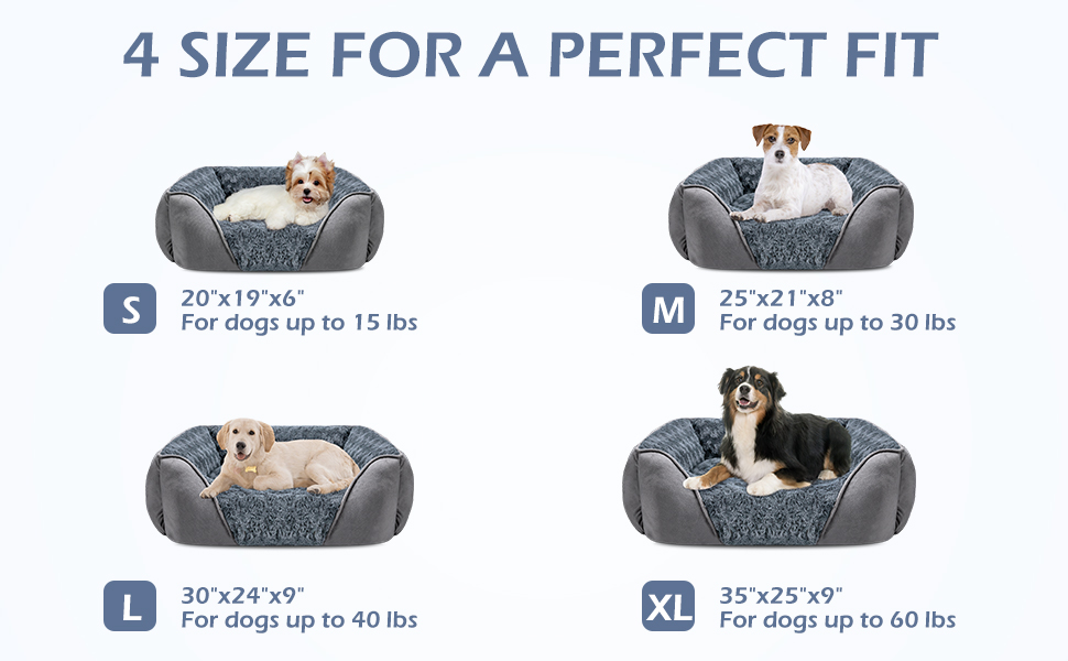 dog bed